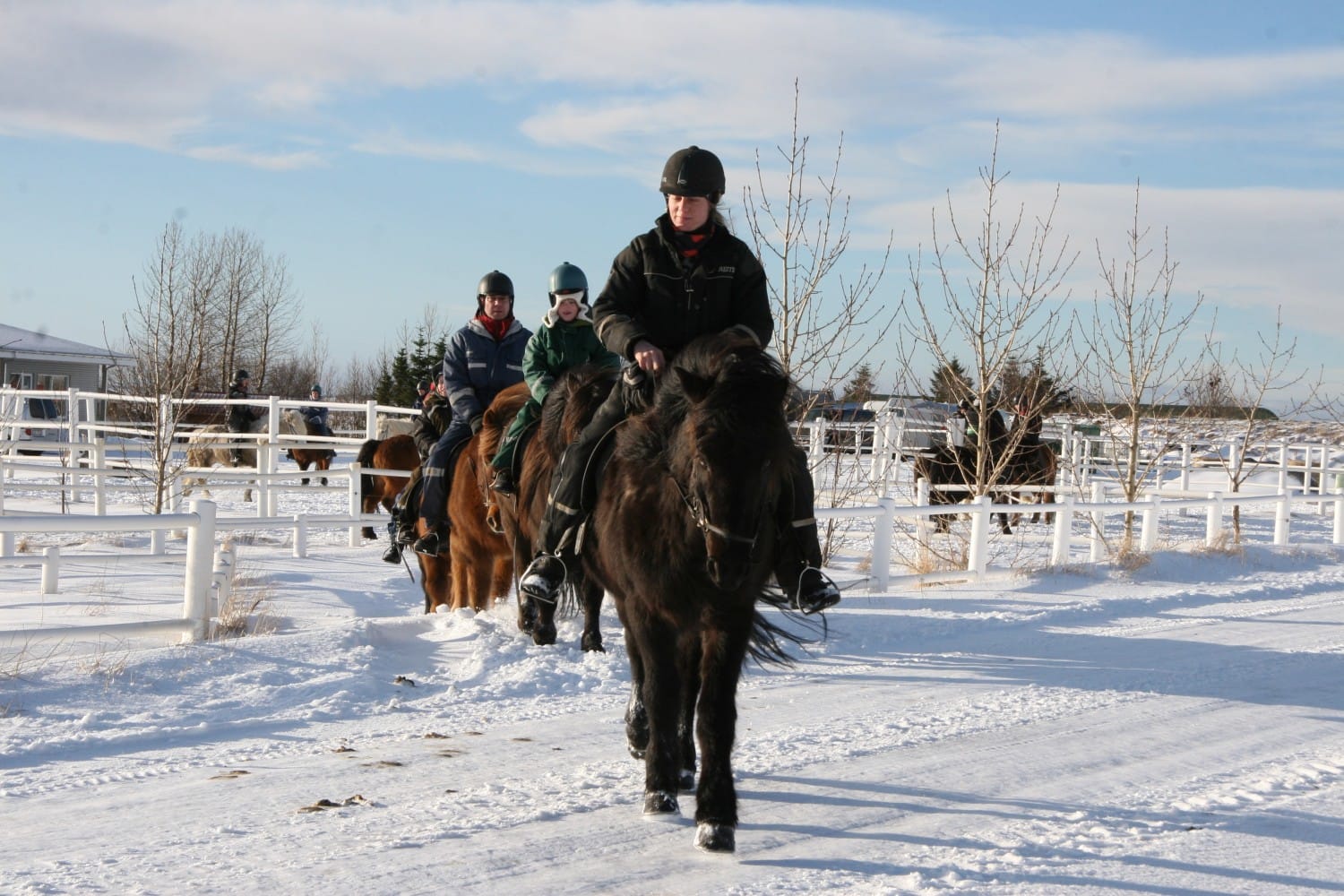 Combination tour with horseback and Gullfoss and Geysir.
