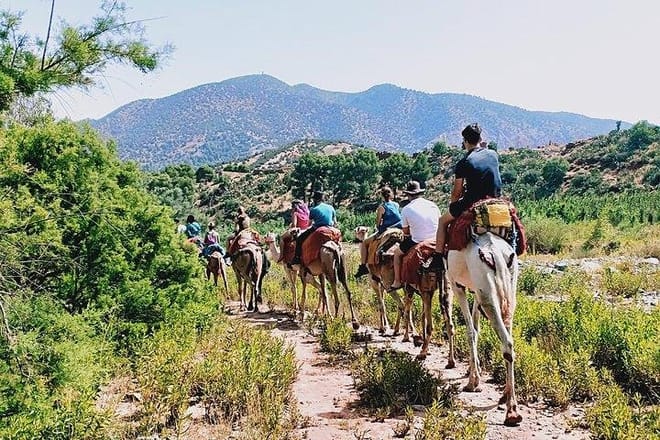Marrakech to Atlas Mountains and 4 Valleys Day Trip 2