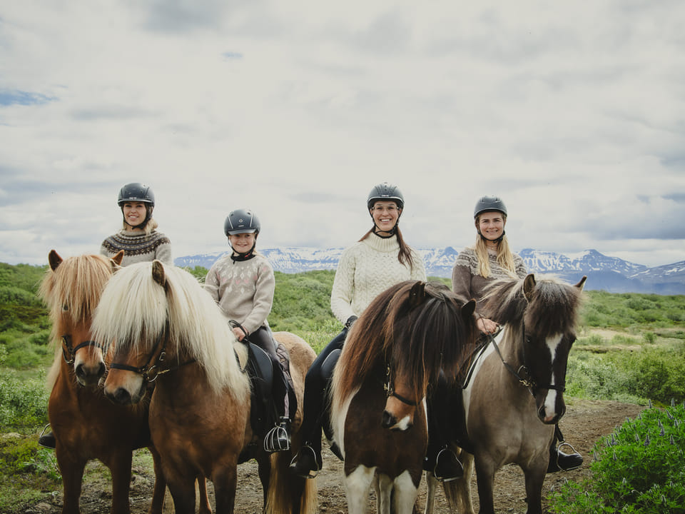 1,5h Trail Ride for All Levels — Hestaland