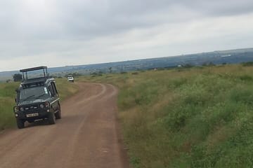 Half Day Nairobi National Park