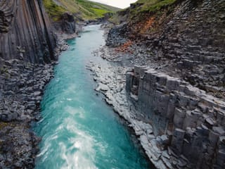 Private Eastfjords Seasonal Wildlife Tour from Seyðisfjörður, photo 10