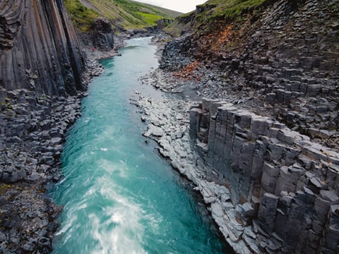Private Eastfjords Seasonal Wildlife Tour from Seyðisfjörður, photo 10