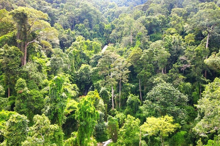 Doi Suthep National Park