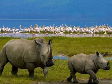 2-Day Private Safari to Lake Nakuru and Hell’s Gate Parks