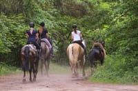 Kusadasi: Horse Riding Beach and Forest options with Transfer 9