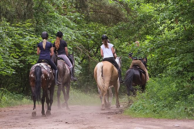Kusadasi: Horse Riding Beach and Forest options with Transfer 9