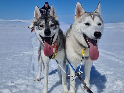 One off the first times they work together on snow