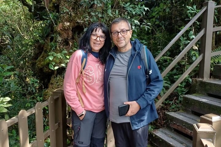 Cameron Highlands Day Tour from Ipoh with lavender garden and tea plantation