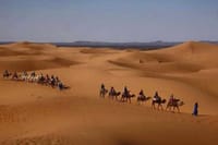 Merzouga traces berb&egrave;re