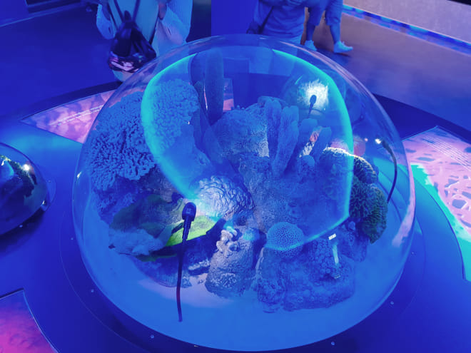 Istanbul: Aquarium Ticket with Shuttle Transfers photo 3