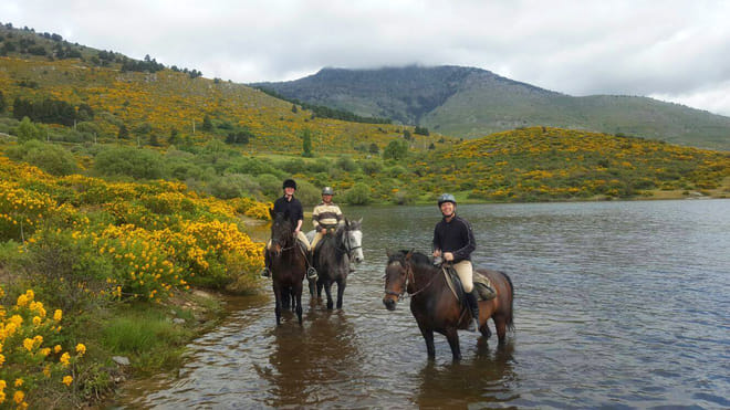 Horseback Riding in Madrid 5