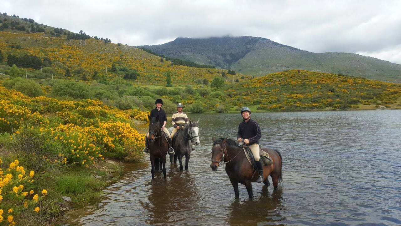 Horseback Riding in Madrid 5