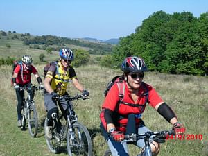 Mountain Bike Day Tour around Brasov