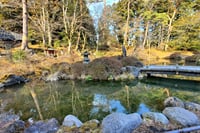 Nikko Private Tour Return by Bullet Train 6