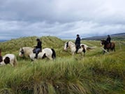 Horse riding the mountain trail. Clare. Guided, 2 hours 2