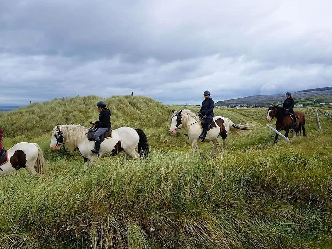 Horse riding the mountain trail. Clare. Guided, 2 hours 2