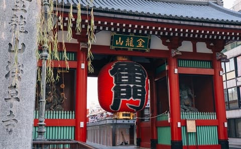 Tokyo Early Morning Tour Asakusa Meiji Shrine (Private Opt)