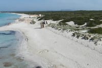 Mallorca Es Trenc Beach Day Tour with Hotel Pick up 4