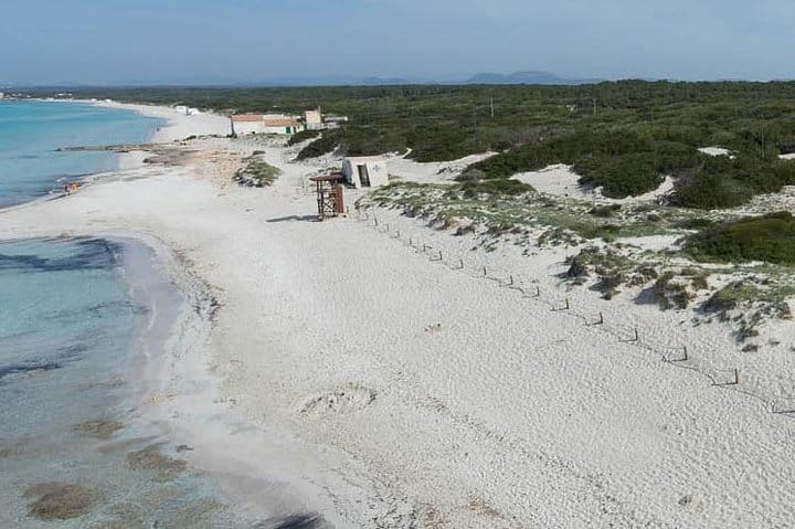 Mallorca Es Trenc Beach Day Tour with Hotel Pick up 4