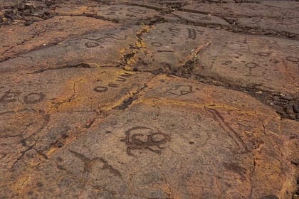 Kona Port: Private History & Farmer’s Market Excursion