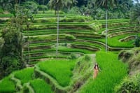 Best of Ubud Private All-Inclusive Day Tour 2