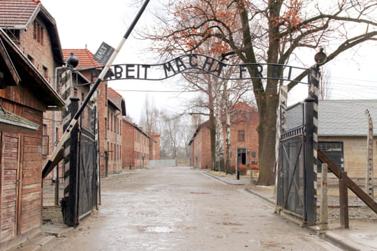 Auschwitz-Birkenau Memorial and Wieliczka Salt Mine 1 Day Guided Tour