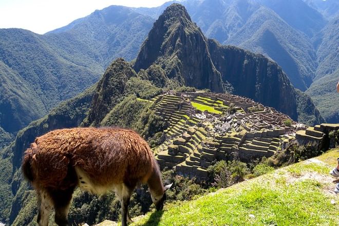 Machu Picchu