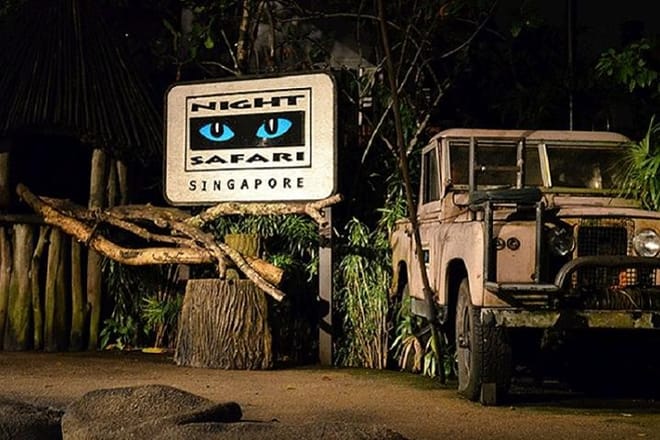 Night Safari
