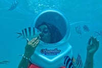 Zanzibar Under Water Sea Walk 4