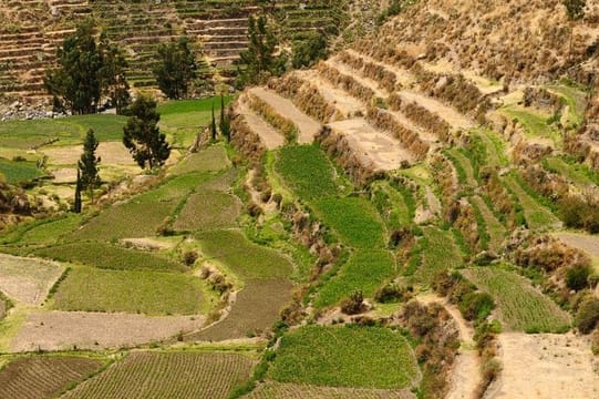 Arequipa Countryside, Sabandia Mill and Founder's Mansion Private Tour 