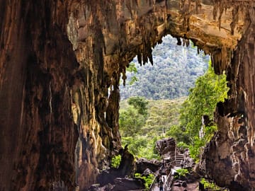 Owls' Cave and Santa Carmen Nature Expedition in Tingo María