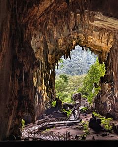 Tin-05 : Adventure in the Dark - Owls' Cave and Santa Carmen Expedition