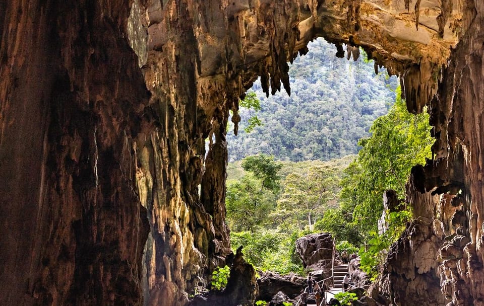 Owls' Cave and Santa Carmen Nature Expedition in Tingo María