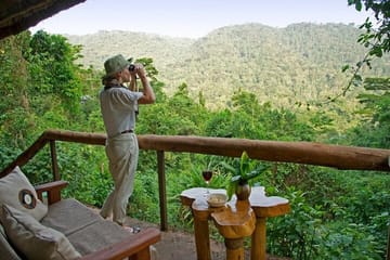 8-Day Private Wildlife Viewing and Chimpanzees Tracking Safari