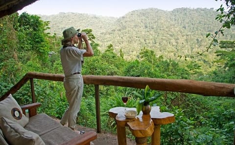8-Day Private Wildlife Viewing and Chimpanzee Tracking in Uganda