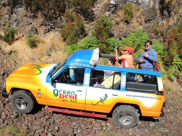 Full-Day 4X4 Tour of Madeira's Peaks from Funchal