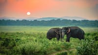 2 Day Udwalawa Safari Tour 5
