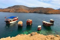 Dubai : The Amazing Khasab Dolphin Watching Day Tour with Snorkeling & Lunch 7