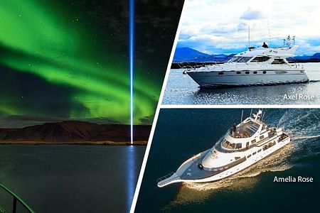 Northern Lights Cruise Adventure from Reykjavík: Witness the Aurora Borealis