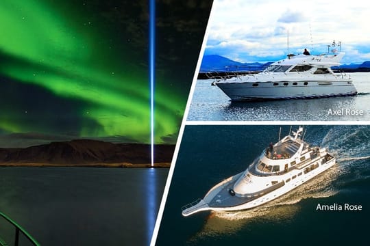 Northern Lights Cruise from Reykjavík