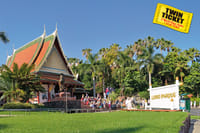 Twin ticket (Loro Parque + Siam Park) with transfer to Loro Park 8