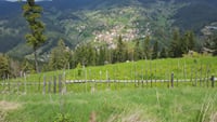 2 Hour Private Superb Buggy Adventure 5