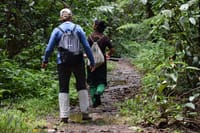 Sinharaja Rain Forest Tour from Colombo 1