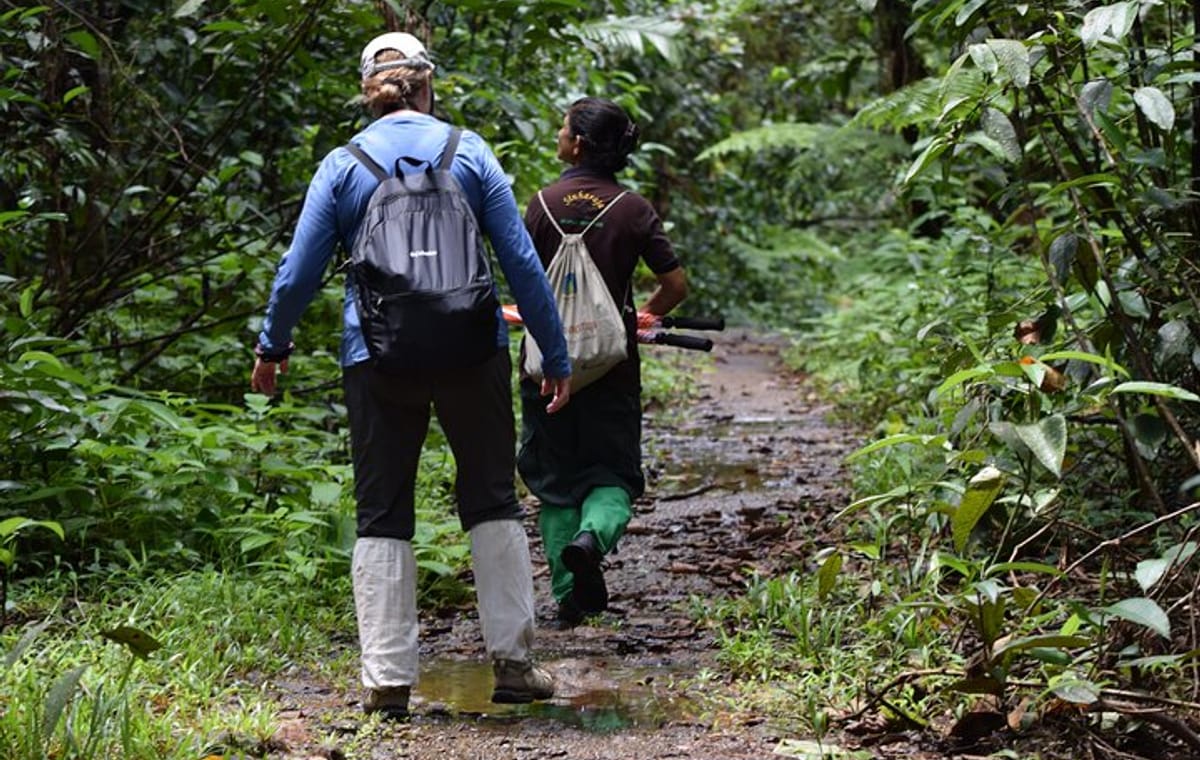 Sinharaja Rain Forest Tour from Colombo