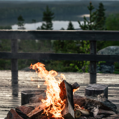 Midnight Sun E-Fat Bike & Reindeer Experience - Image 4