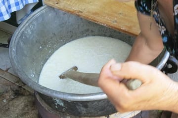 Paphos Cheese Making Workshop and Troodos Villages Tour
