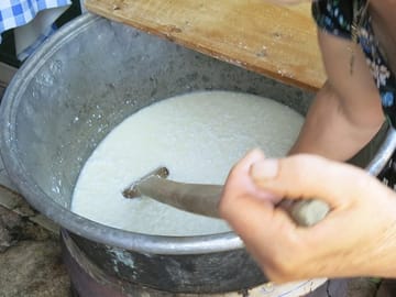 Make 2 cheeses from start to finish! Anari & Halloumi Cheese