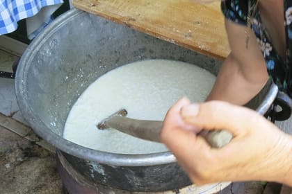From Paphos: Halloumi Heaven – Cypriot Cheese Making Workshop & Troodos Mountain Villages Tour (7-8hrs)