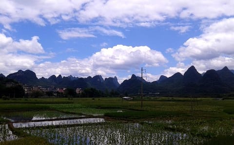 Guilin Li River Day Tour with Scenic Views from Xianggong Hill