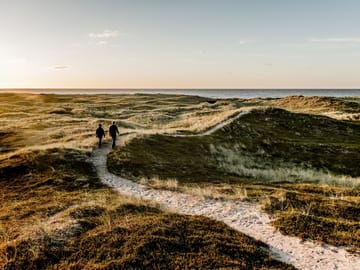 Denmark’s 6 Giant Trolls — Private Experience